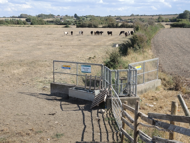 Environment Agency on Sluice